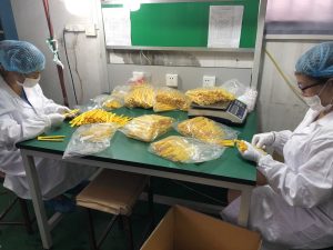 Improve Quality Control in Injection Molding